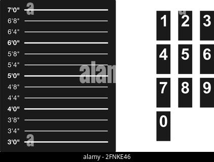 Police height chart with suspect numbers in vector set Stock Vector