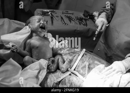 Newborn Stock Photo