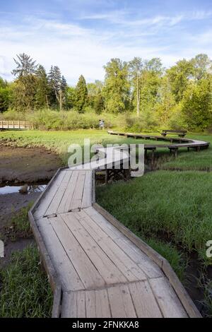 Shoreline Trail, Port Moody, Greater Vancouver, British Columbia, Canada Stock Photo