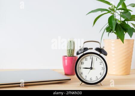 Classic vintage black alarm clock, laptop and potted plants on wooden table with white wall background and copy space for text. Time and work concept. Stock Photo