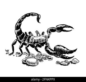 Scorpion animal in desert. Ink black and white drawing Stock Photo