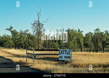 Cattle On Road Signage On A Country Fence Stock Photo