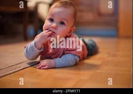 Little baby boy crawling at home Stock Photo