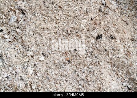 Close-up of grey ashes from the ashtray of a woodstove Stock Photo