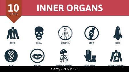 Human body internal organs. Inner organ flat poster, biology medicine ...