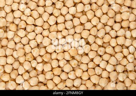 Dried chickpeas, background from above. Whole and light tanned chick peas, a high in protein legume and fruit of Cicer arietinum. Stock Photo