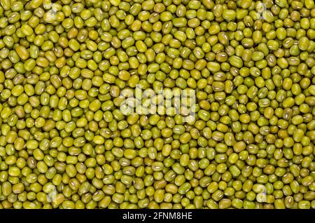 Mung beans, background, from above. Also known as green gram, maash, moong, monggo or munggo. Whole, dried, raw seeds of Vigna radiata, a legume.