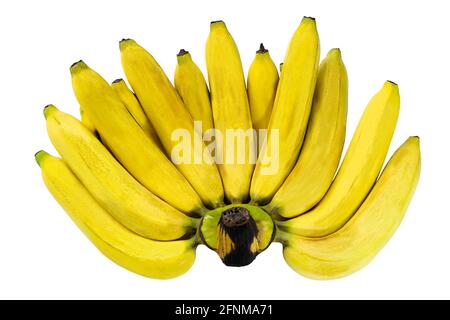 Closeup a comb of ripe yellow bananas isolated on white background Stock Photo