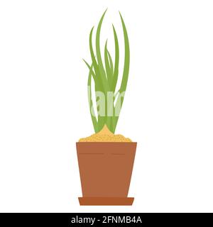 Green onion or Chives in pot. Isolated vector illustration for handmade, postcard, print on t-shirt, stickers. Home gardening spring onions Stock Vector
