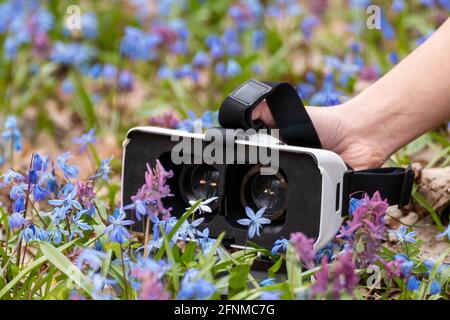 Hand holding 3D Virtual reality headset glasses with lenses opened in spring blue and purple wild flowers. VR tech gear goggles close-up. Optical syst Stock Photo