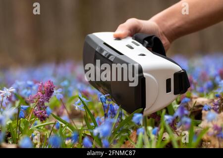 Hand holding 3D Virtual reality headset glasses in spring blue wild flowers. VR tech gear goggles close-up with focus blur Stock Photo