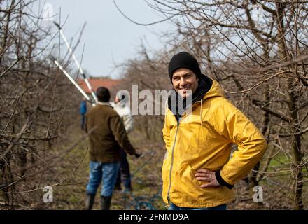 Portrait of handsome farmer standing in orchard in winter time while workers pruning fruit trees in background Stock Photo