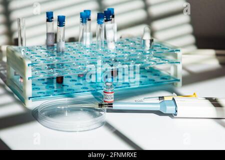 Laboratory table with holder for test tubes, vial with vaccine for COVID-19, syringe, pipette and petri dish, with shadows of a curtain Stock Photo