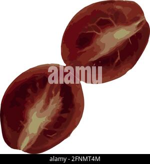 illustration of a fresh tomato in a section, isolated on a white background, design elements, vector Stock Vector