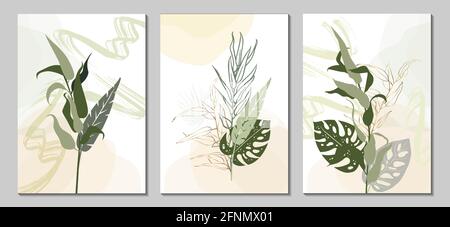 A set of vector posters of botanical wall art. Plant art design for printing, cover art, wallpaper, postcards, invitations, and natural wall art. Stock Vector