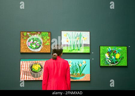 LONDON 18 May 2021. The preview of 'David Hockney: The Arrival of Spring, Normandy, 2020' exhibited for the first time at the Royal Academy of Arts in Piccadilly. David Hockney marks the arrival and unfolding  of the spring season using an iPad and a new app which has been adapted and developed to his specific rquirements. in Normandy. The  exhibition runs from 23 May to 26 September 2021 Credit amer ghazzal/Alamy Live News Stock Photo