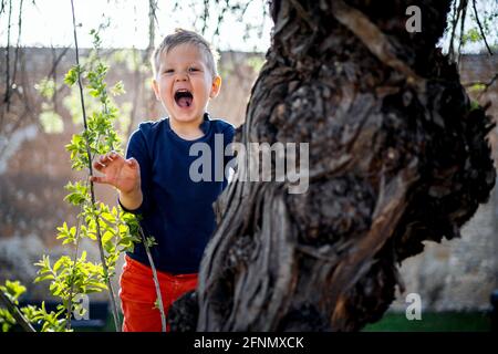 3 years old boy having fun climbing up on the tree in the park Stock Photo