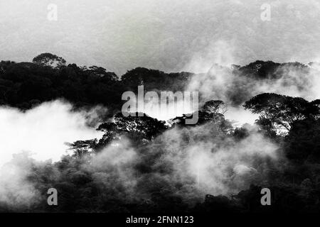 Black and white tropic forest art. Foothills of Monteverde Cloud Forest Reserve, Costa Rica. Tropical mountains with grey storm clouds. Rainy day in t Stock Photo