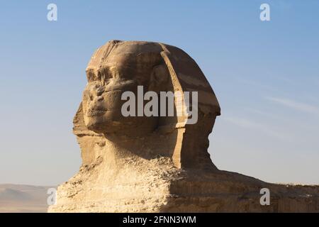 Beautiful profile of the Sphinx pyramid on sunrise. Stock Photo