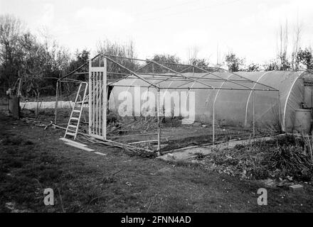 Fruit cage and poly tunnel, Hattingley, Hampshire, England, United Kingdom. Stock Photo