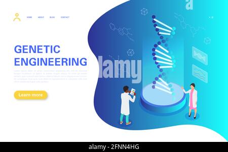 Genetic Engineering Banner Concept. Tiny people study the structure of DNA. Medical personnel conduct testing and analyze the results. Flat vector iso Stock Vector