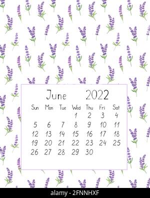 Calendar page the year 2022 for June watercolor floral seamless illustration, printable page, hand drawn pattern of French Provence lavender flowers, Stock Photo