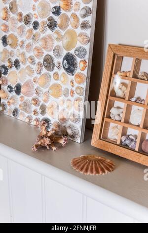 Seashell collection and artwork in 19th century Victorian cottage. Stock Photo