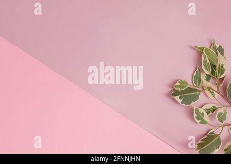 Abstract geometric paper background in shades of pink Stock Photo