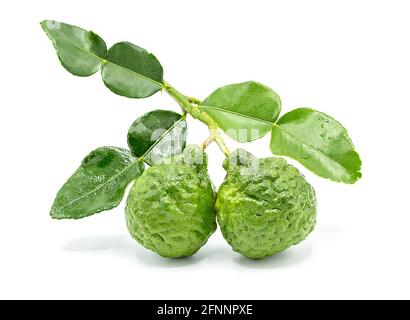 Fresh Bergamot fruit with leaf isolated on white background Stock Photo