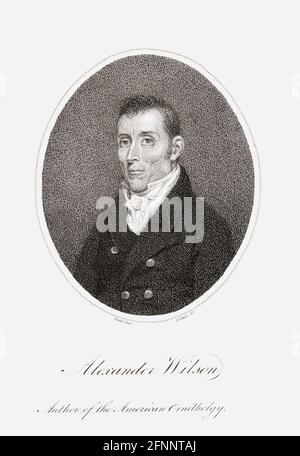 Alexander Wilson, 1766 – 1813.  Scottish-American poet, ornithologist, naturalist, and illustrator.  His work, including American Ornithology; or, the Natural History of the Birds of the United States, was an inspiration to naturalist John James Audubon.  After a work by Charles Willson Peale. Stock Photo