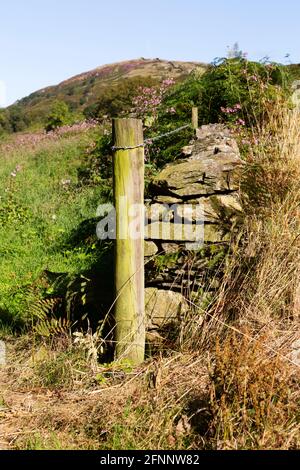 A dry stone wall and barbed wire fencing in Cumbria, England. Lichen grows on the wall. Stock Photo