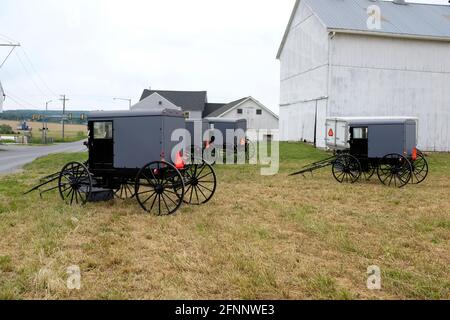 Amish Buggies near Lancaster, Pennsylvania Stock Photo