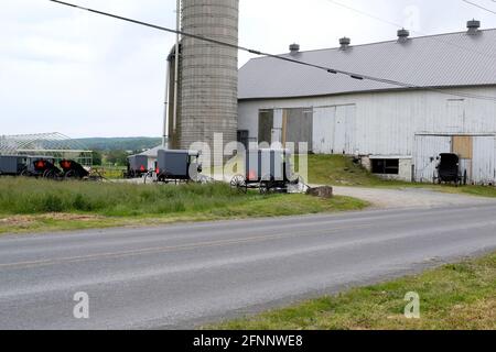 Amish Buggies near Lancaster, Pennsylvania Stock Photo