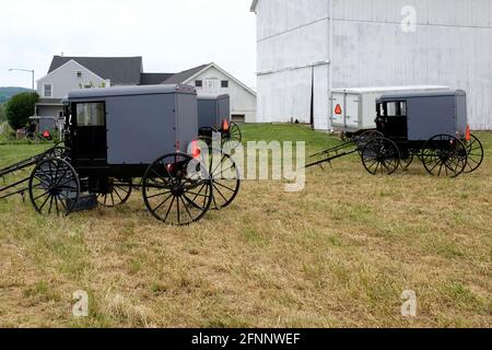 Amish Buggies near Lancaster, Pennsylvania Stock Photo