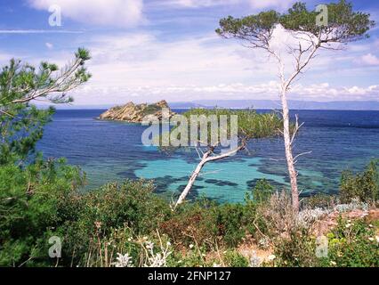 Ilot du Rascas in Port Cros island Hyeres Var Stock Photo