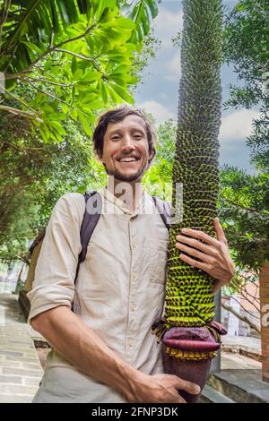 Man and bundle of young banana on banana tree Stock Photo