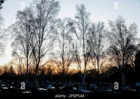 City of Paris cemetery, Bagneux, Hauts-de-Seine, France. Stock Photo