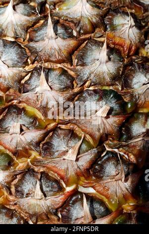 Pineapple (Ananas comosus), detail of the skin.  France. Stock Photo