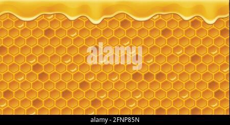 Vector Honey Comb background pattern repeatable Stock Vector