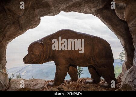 Museum Natural History, Basel, Switzerland Stock Photo