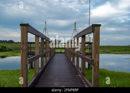 A boardwalk observatory at the Fort Drum Marsh Conservation Area, a wetlands nature preserve in Central Florida. Stock Photo