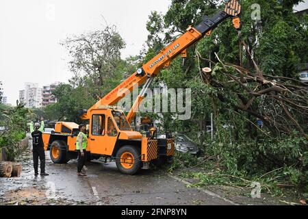 Mumbai, India. 18th May, 2021. A crane removes fallen trees on the street uprooted by Gusty winds and heavy rain, after cyclone 'Tauktae' made a landfall in Mumbai. The city has witnessed strong winds and heavy rain continuously for two days and water logging on the streets forcing people to wade through water from one place to another. Credit: SOPA Images Limited/Alamy Live News Stock Photo