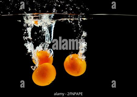 three juicy tangerines in water on a black background Stock Photo