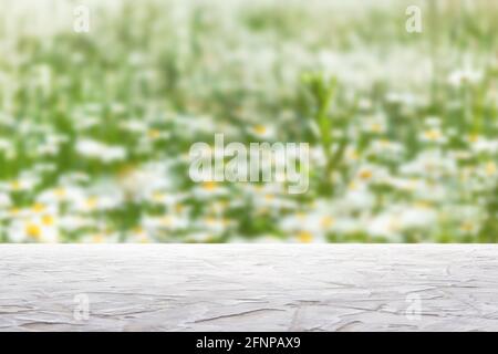 white textured surface on blur field of daisies background Stock Photo