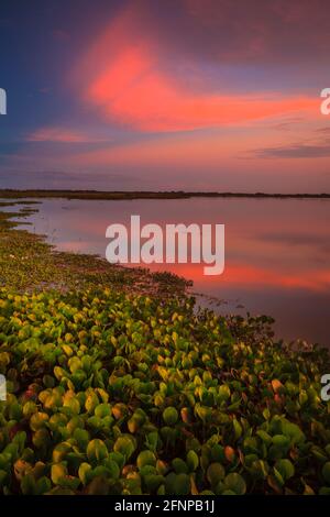 Colorful skies at sunset at the lakeside of Refugio de vida Silvestre Cienage las Macanas nature reserve, Herrera province, Republic of Panama. Stock Photo