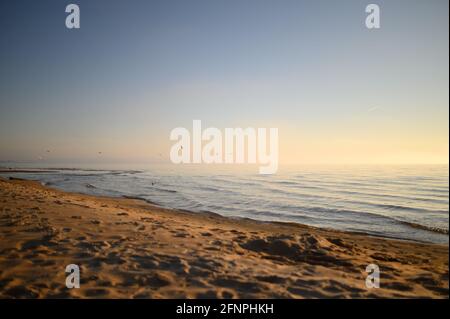 Calm evening at the beach of Baltic sea with birds flying, small waves  and sand on beach Stock Photo