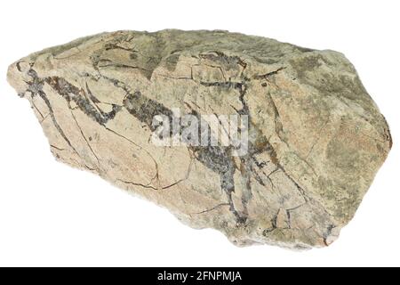 agate from Oberthal, Germany isolated on white background Stock Photo