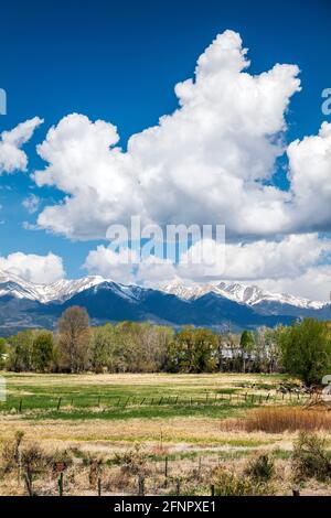 Springtime panorama view of Collegiate Peaks; Rocky Mountains; central Colorado; USA Stock Photo