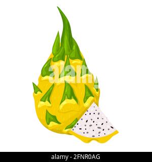 Fresh whole and cut slice yellow pitaya fruits isolated on white background. Summer fruits for healthy lifestyle. Organic fruit. Cartoon style. Vector Stock Vector
