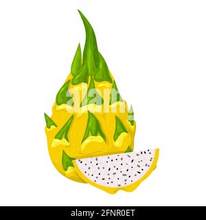 Fresh whole and cut slice yellow pitaya fruits isolated on white background. Summer fruits for healthy lifestyle. Organic fruit. Cartoon style. Vector Stock Vector